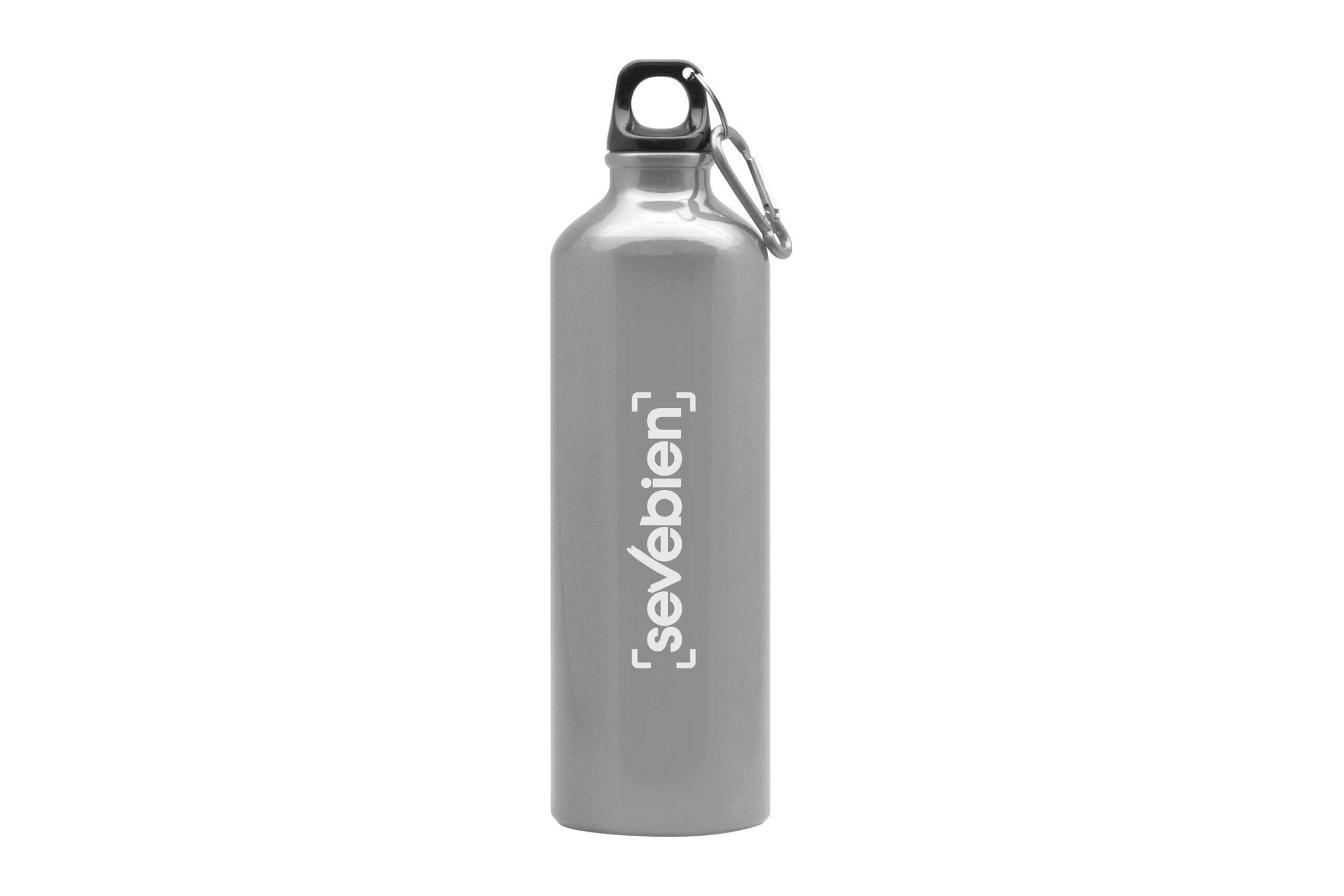 Botella térmica aluminio REX 545